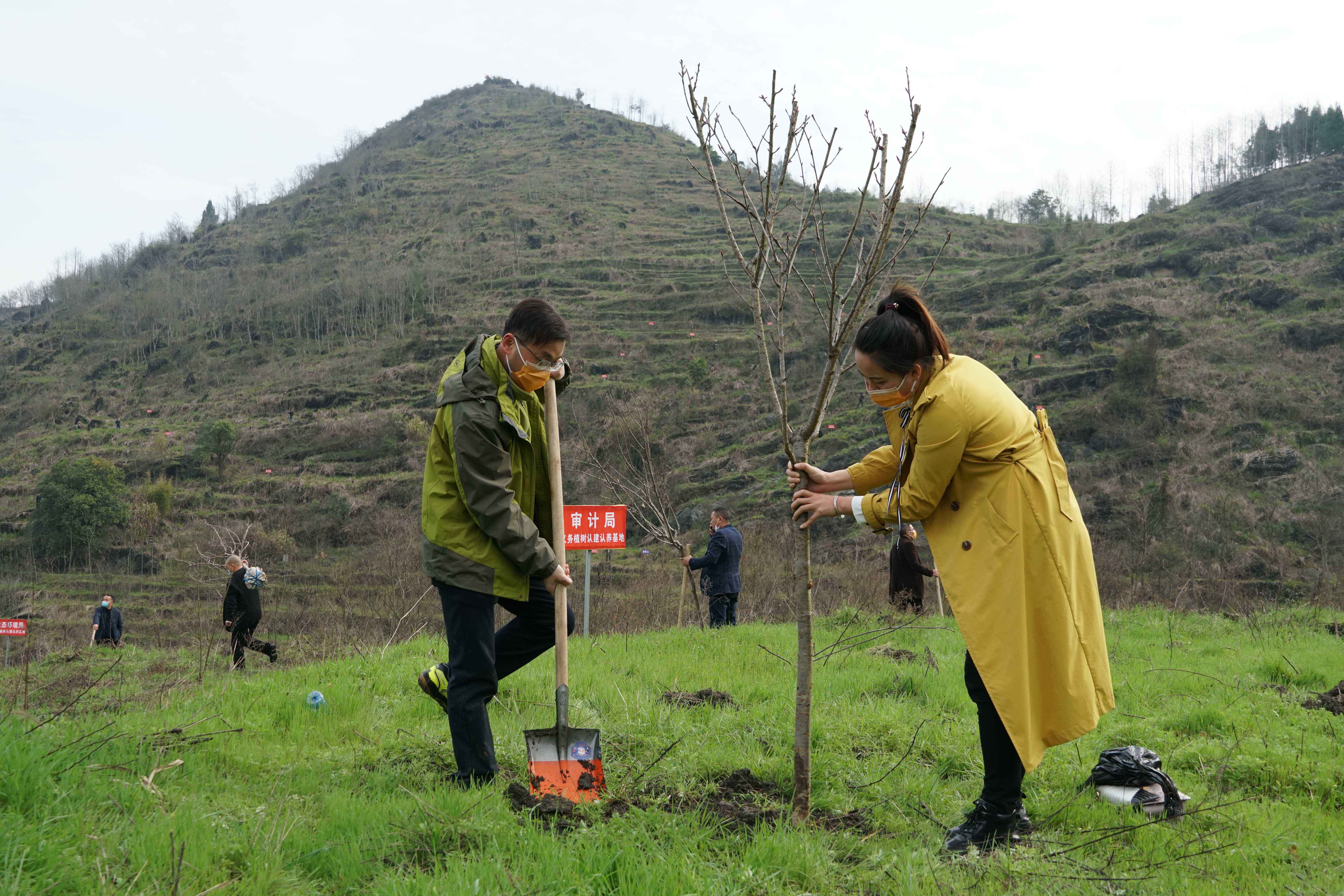 DSC04380 拷貝副本.jpg DSC04380 拷貝副本.jpg